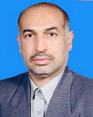 Mehdi Ghomeshi